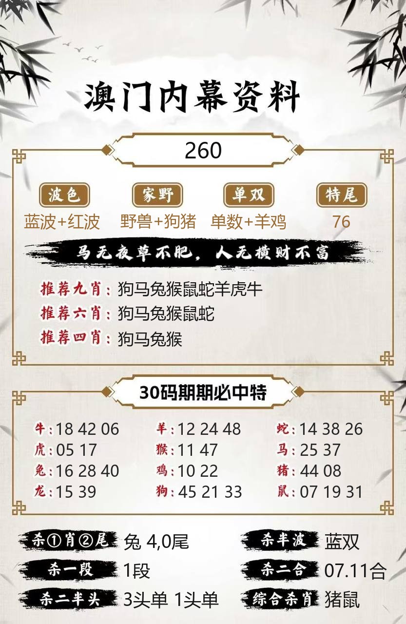 澳门新新彩内幕资料模板